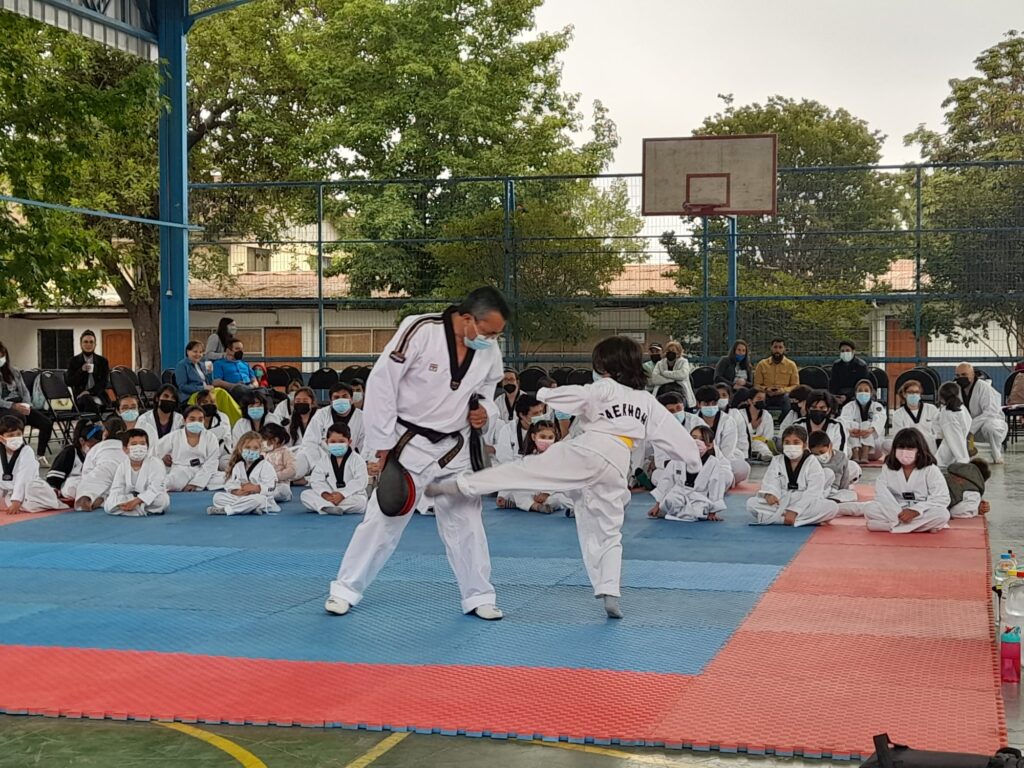 niño pateando en tkd